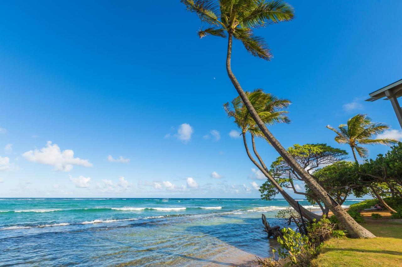 2 Bedroom Kapaa Condo With Pool And Ac 115 カパア エクステリア 写真